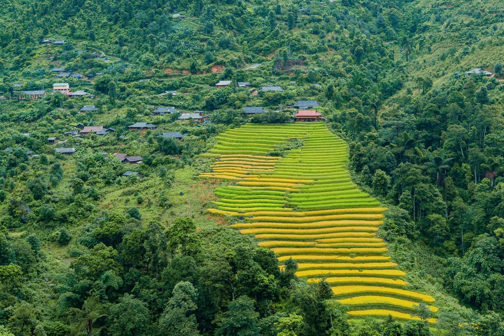 mua vang tren reo cao Son La anh 5