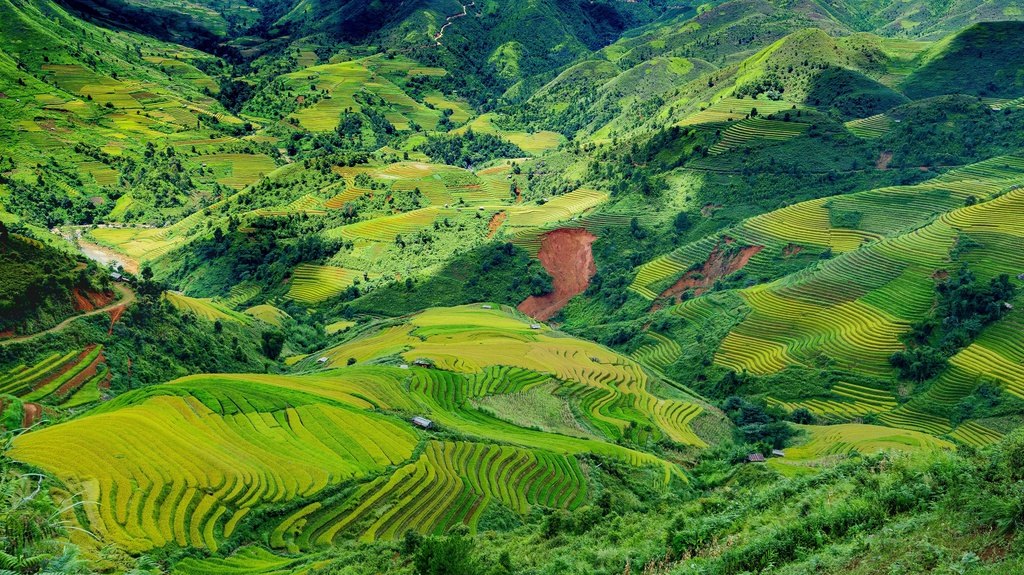 mua vang tren reo cao Son La anh 9