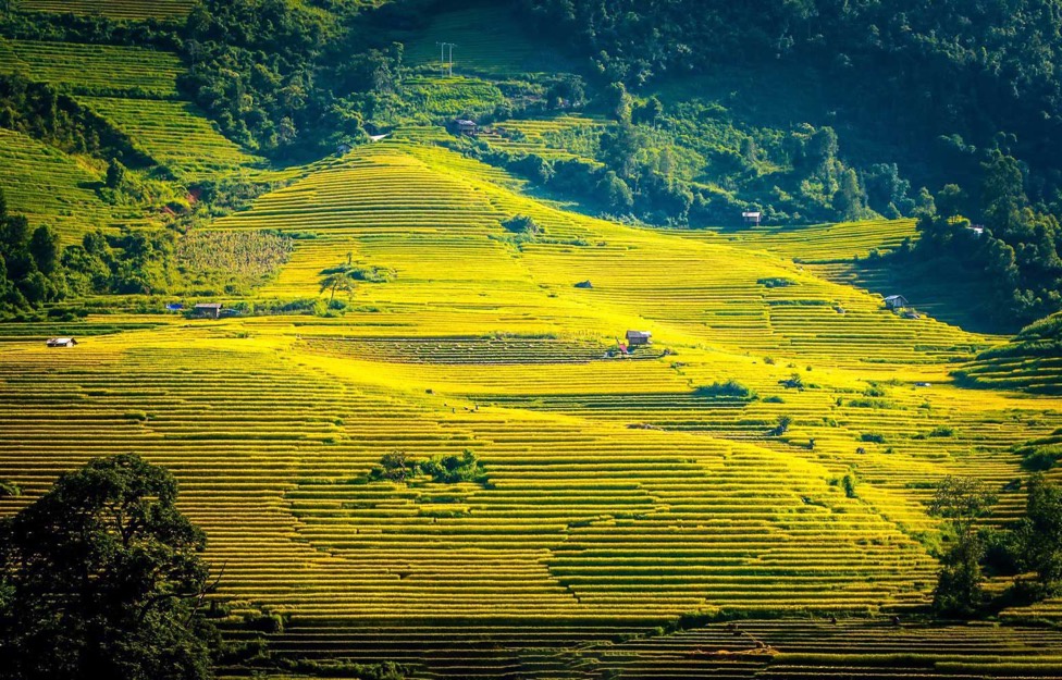 Sun Group anh 3