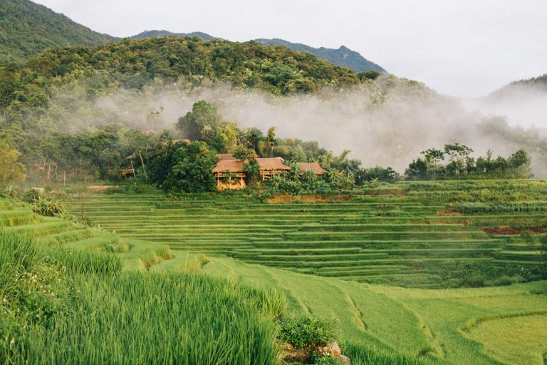 Tháng 9, đến Pù Luông ngắm lúa Tháng 9, đến Pù Luông ngắm lúa