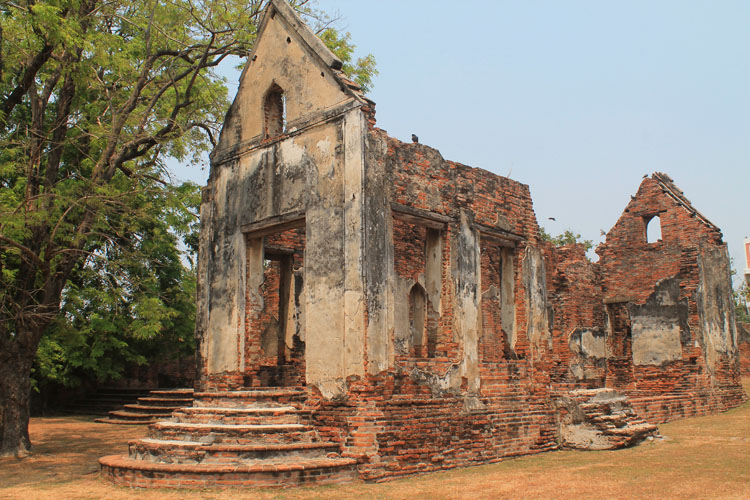 Lạ lùng khu tàn tích cổ trở thành thánh địa loài khỉ, phải luôn cảnh giác khỏi bị khỉ cướp đồ - 7