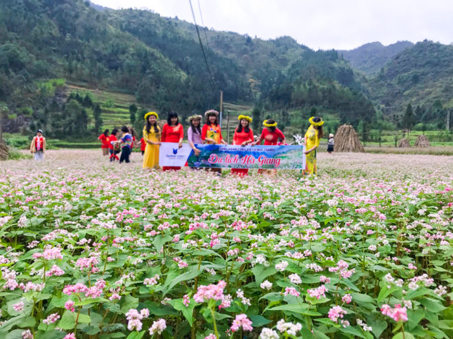 Lên kế hoạch thưởng lãm hoa Tam giác mạch Hà Giang ngay và luôn Lên kế hoạch thưởng lãm hoa Tam giác mạch Hà Giang ngay và luôn