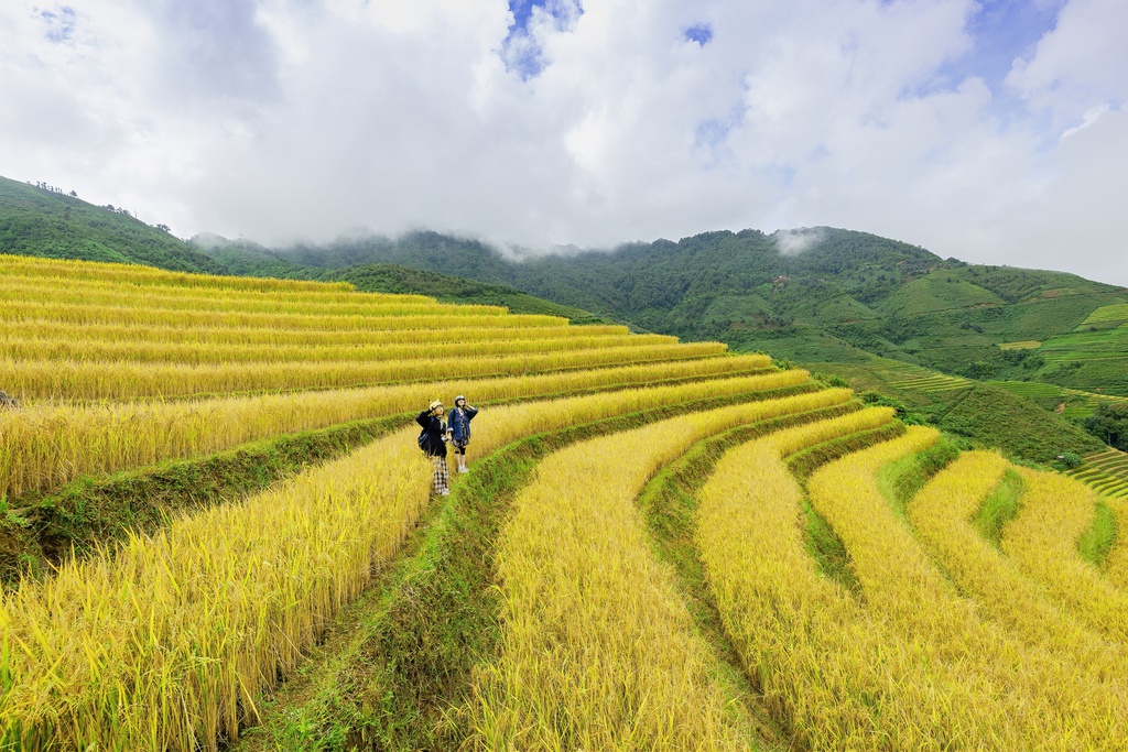 mua vang tren reo cao Son La anh 1