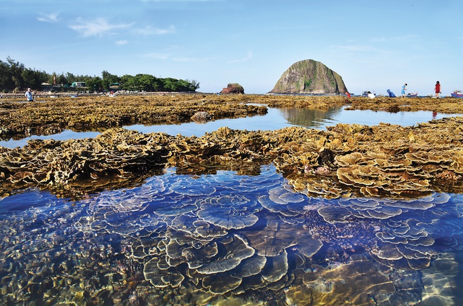 du lich phu yen anh 4