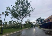 Giàn hoa giấy ở Hội An đổ sập sau bão số 9 bao so 9 anh 1