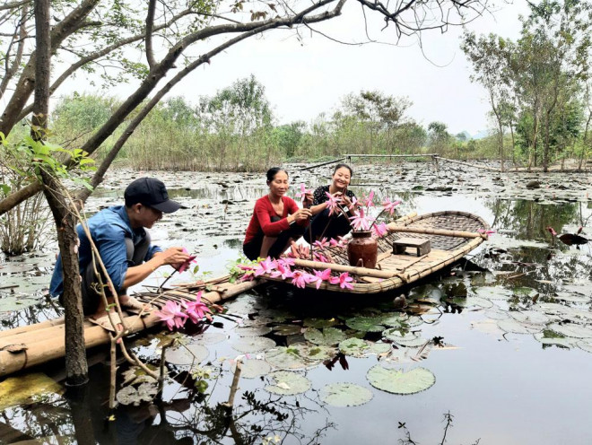 Suối Yến rộn ràng mùa hoa súng - 10