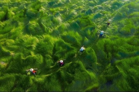 Sửng sốt với những bức ảnh Việt Nam ở top đầu tại giải ảnh trên không 2020 - 4