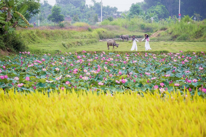 thi xa nhieu don vi hanh chinh nhat anh 3