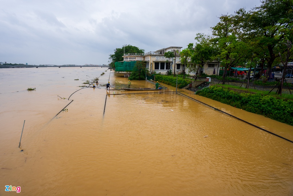 TP Hue chim trong bien nuoc anh 7