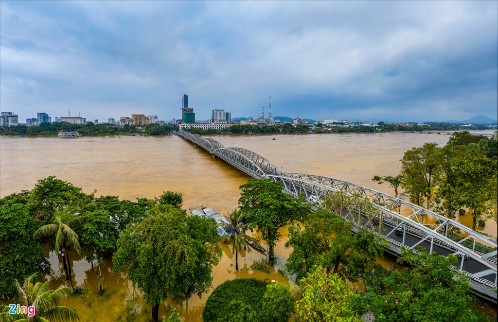 TP Hue chim trong bien nuoc anh 1