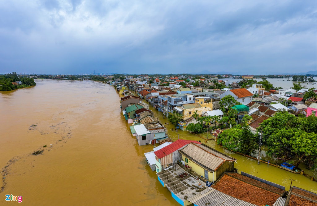 TP Hue chim trong bien nuoc anh 3