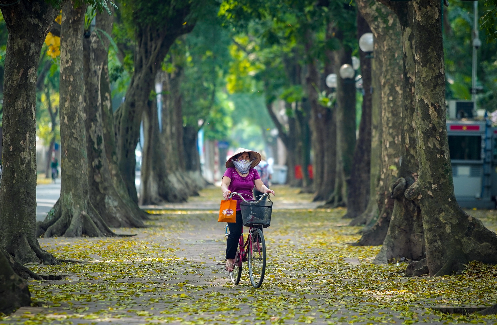 nhung khoanh khac dep mua thu ha noi anh 9