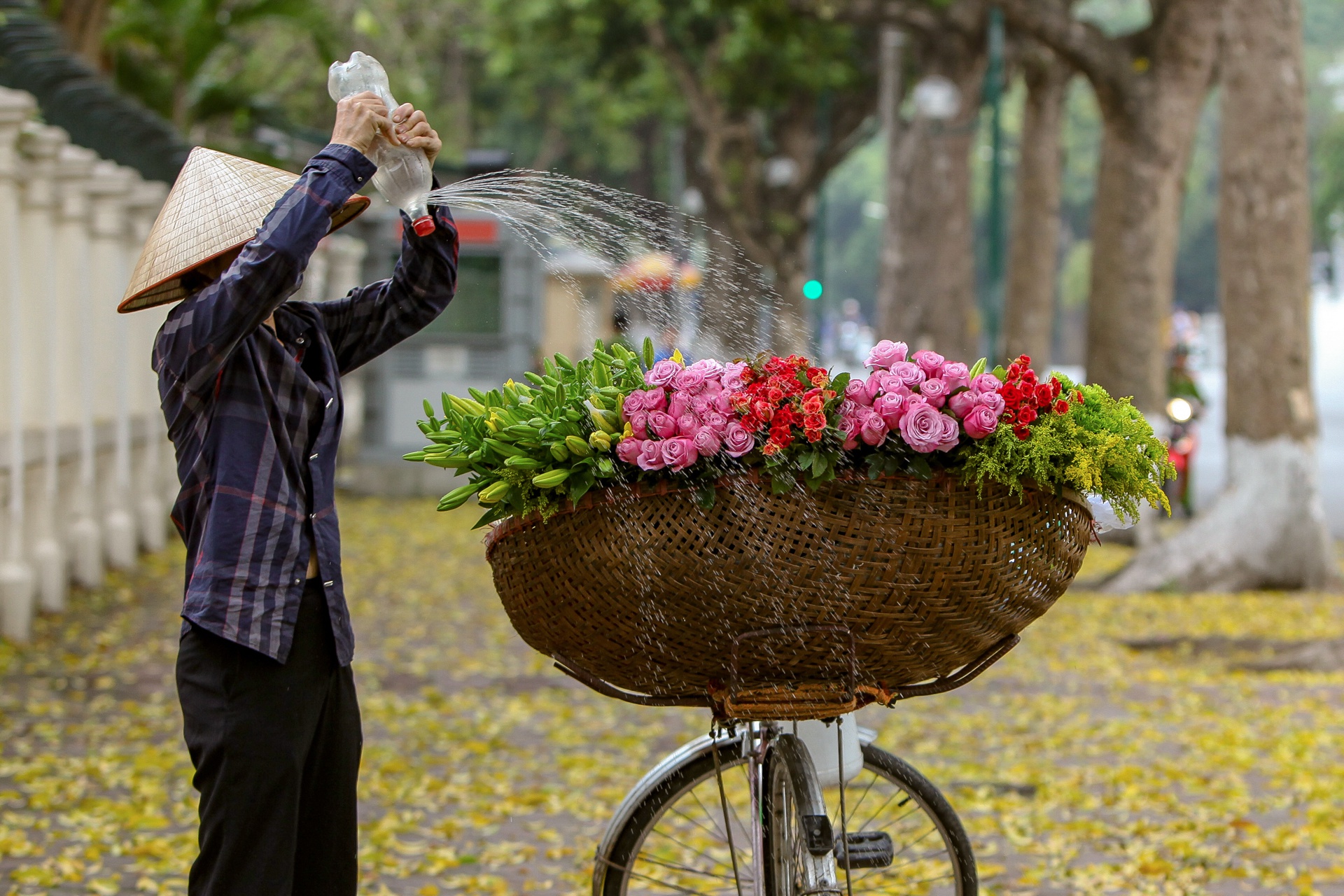 nhung khoanh khac dep mua thu ha noi anh 12