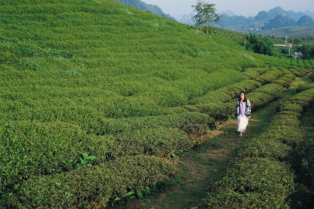 3 diem den hut du khach cuoi nam anh 12