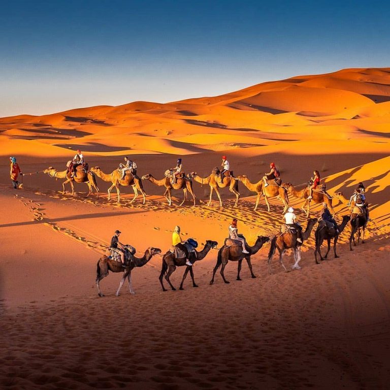 Nghỉ dưỡng sang chảnh tại sa mạc Sahara Nghỉ dưỡng sang chảnh tại sa mạc Sahara