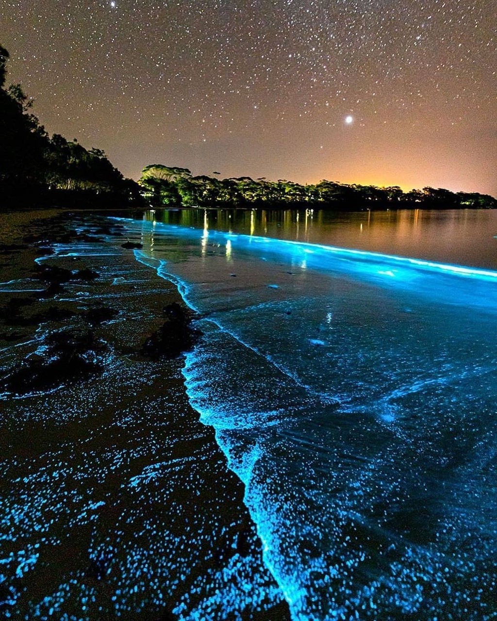 Vinh Jervis o Australia anh 9