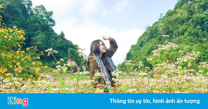 Khám phá Hà Giang mùa tam giác mạch chỉ 1,3 triệu đồng/người