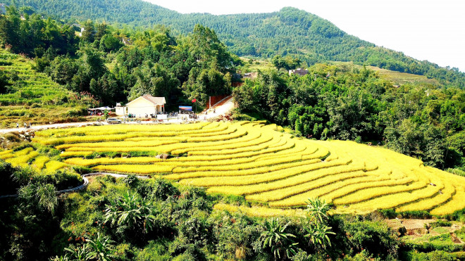 Bay trên mùa vàng Bình Liêu - 6