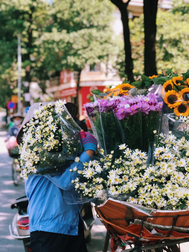 Một mùa cúc hoạ mi xinh xắn lại đến: “Lên đồ” cùng hội BFF để có những tấm ảnh “nghìn like” nào! - 3