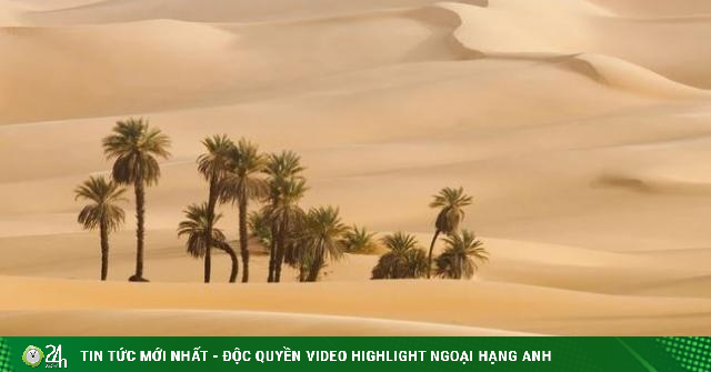 Hóa ra sa mạc Sahara không phải hoang mạc lớn nhất thế giới mà là nơi không một hạt cát này Hóa ra sa mạc Sahara không phải hoang mạc lớn nhất thế giới mà là nơi không một hạt cát này