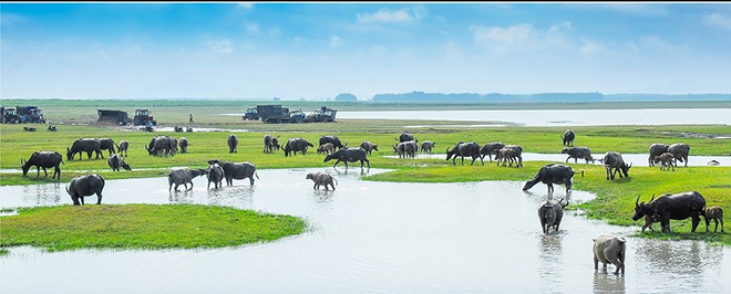 Đổi gió cuối tuần ở Tây Ninh, đừng quên check-in những địa điểm nổi tiếng này - 6