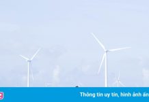 Kinh nghiệm du lịch Bạc Liêu