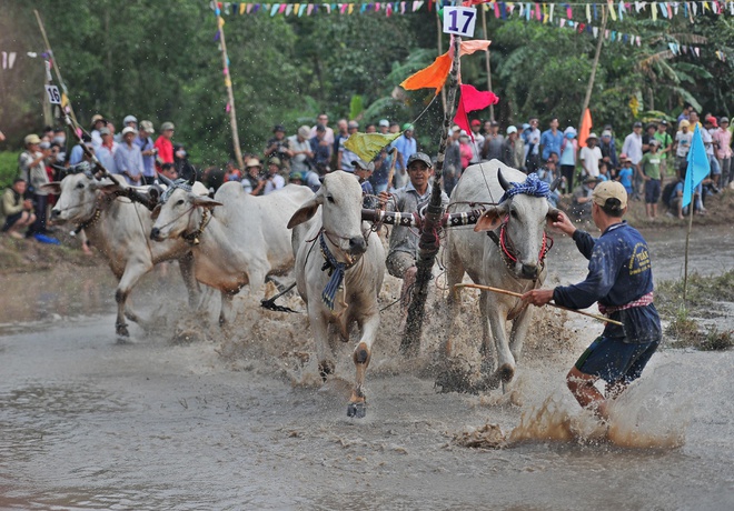 du lich an giang anh 6