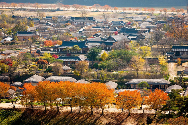 Nét văn hóa truyền thống tại cố đô Gyeongsangbuk Hàn Quốc - 1