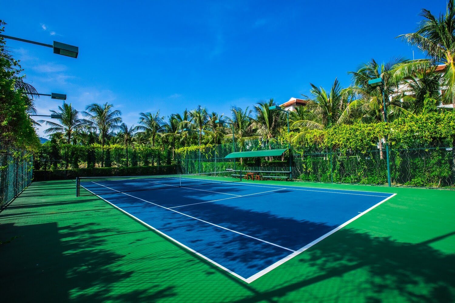 sân tennis tập thể thao