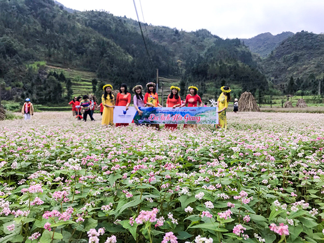 Chào mùa hoa Tam Giác Mạch 2020 - 5