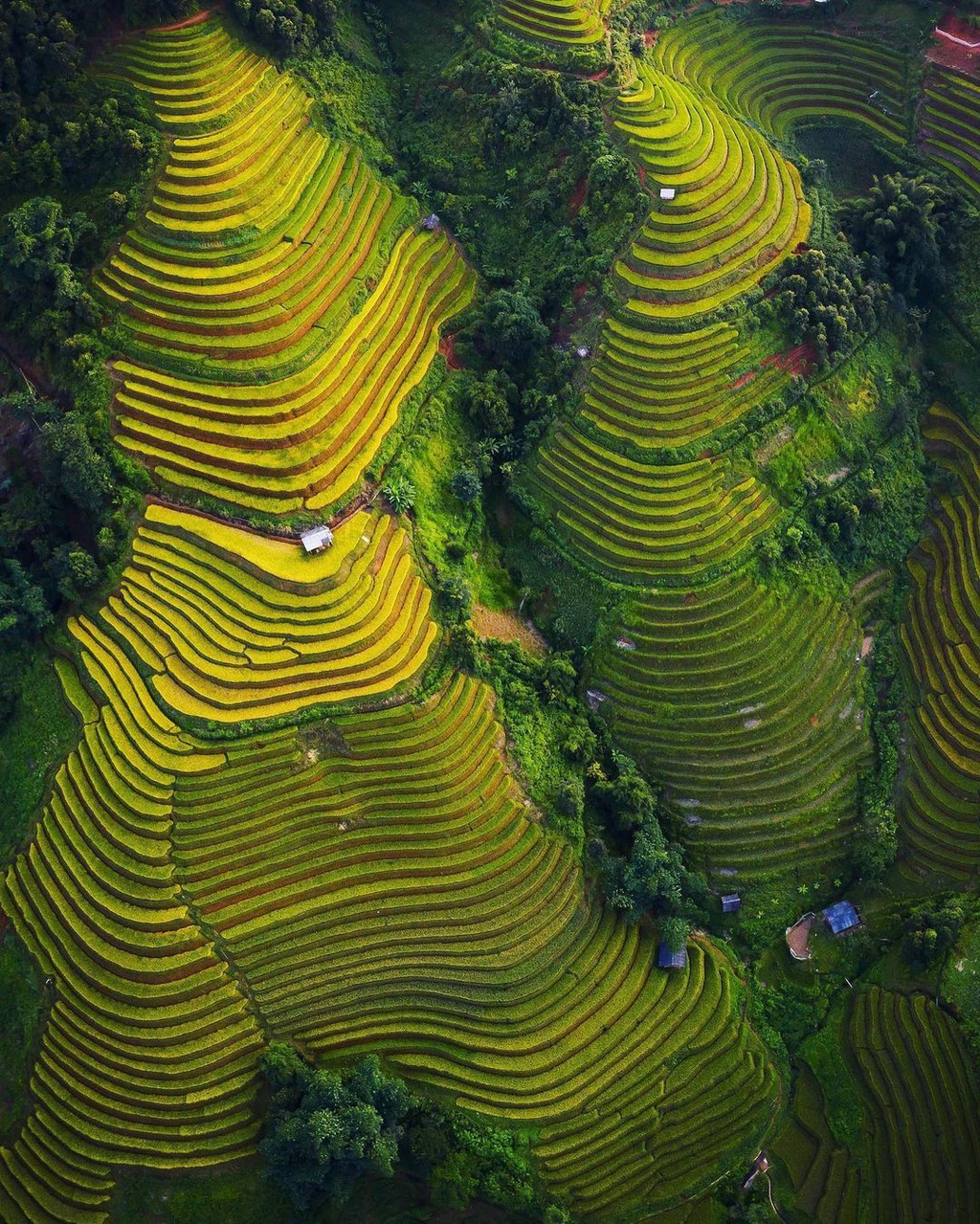 Mu cang chai anh 2