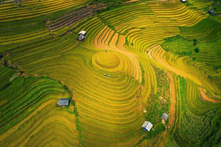 Mù Cang Chải vào top 50 điểm đến đẹp nhất thế giới Mù Cang Chải vào top 50 điểm đến đẹp nhất thế giới