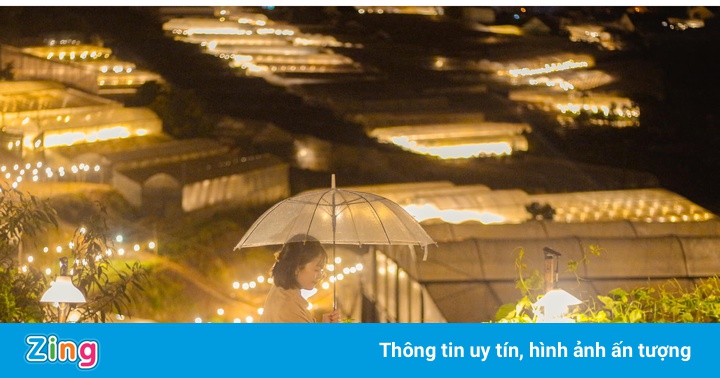 5 homestay ở Đà Lạt có view ôm trọn thung lũng đèn