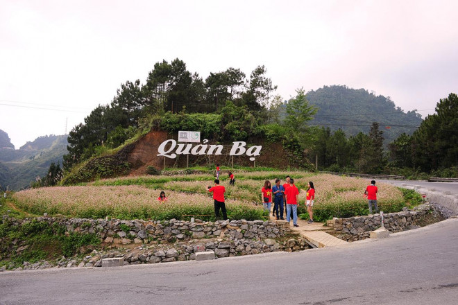 Hoa tam giác mạch Hà Giang nở rộ khiến du khách mê mải quên lối về - 8