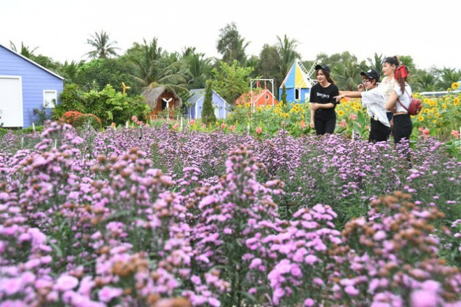 Địa điểm check-in Tết Dương lịch 2021: “Vườn hoa Đà Lạt” giữa lòng Sài Gòn hút giới trẻ Địa điểm check-in Tết Dương lịch 2021: “Vườn hoa Đà Lạt” giữa lòng Sài Gòn hút giới trẻ