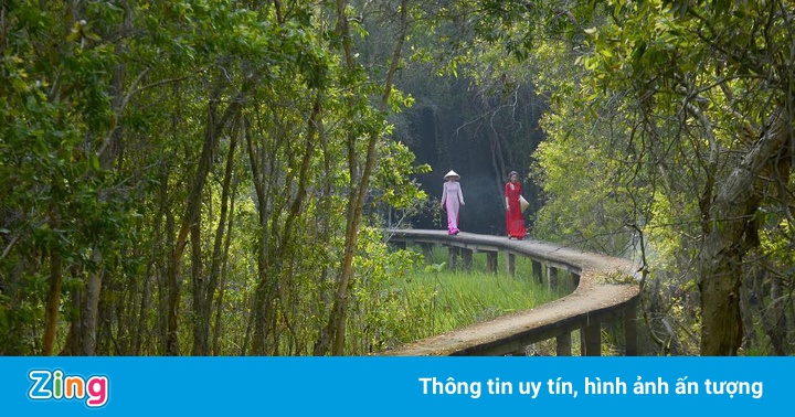 Làng nổi Tân Lập nằm ở tỉnh nào?