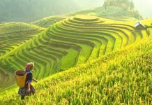 Những loại hình du lịch nào sẽ lên ngôi năm 2021? Những loại hình du lịch nào sẽ lên ngôi năm 2021? - Ảnh 1.