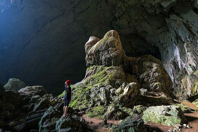 hang dơi Pù luông