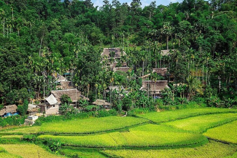 Jungle Lodge Pù Luông – “Thiên đường xanh” cách biệt phố thị ồn ào, đông đúc Jungle Lodge Pù Luông – “Thiên đường xanh” cách biệt phố thị ồn ào, đông đúc