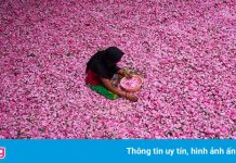 Thủ đô nước hoa của Ấn Độ