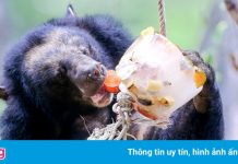 Thảo Cầm Viên tăng giá vé từ đầu năm 2021