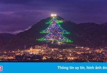 Cây thông Noel có kích thước gần bằng ngọn núi