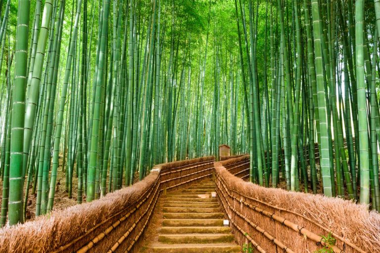 14 địa điểm nghỉ dưỡng kỳ lạ nhất trên thế giới 14 địa điểm nghỉ dưỡng kỳ lạ nhất trên thế giới