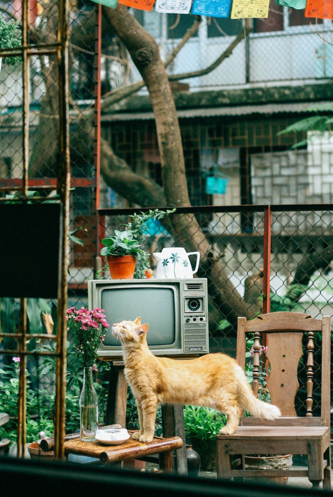 Những quán cà phê độc đáo, chất lừ và yên tĩnh cực hợp để teen sống ảo đầu năm - 7