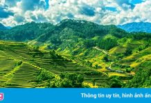 Sa Pa và những nơi có ruộng bậc thang đẹp nổi tiếng