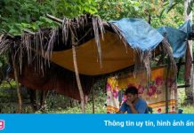 Học sinh Philippines lên nóc nhà đón sóng Internet