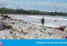 Bãi biển Bali bị chôn vùi trong rác thải nhựa khi gió mùa về