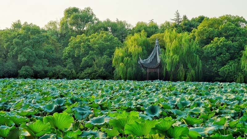 Thị trấn cổ giàu nhất cuối triều đại nhà Thanh, không hổ danh là nơi buôn lụa nổi tiếng bậc nhất - 10