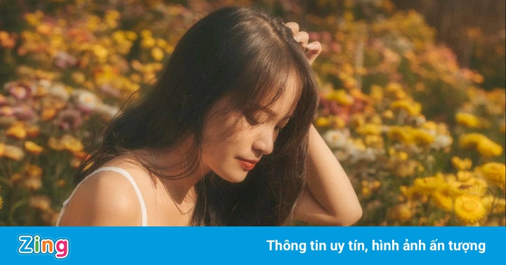 Cảnh sắc thần tiên ở rừng hoa bất tử tại Đà Lạt Cảnh sắc thần tiên ở rừng hoa bất tử tại Đà Lạt