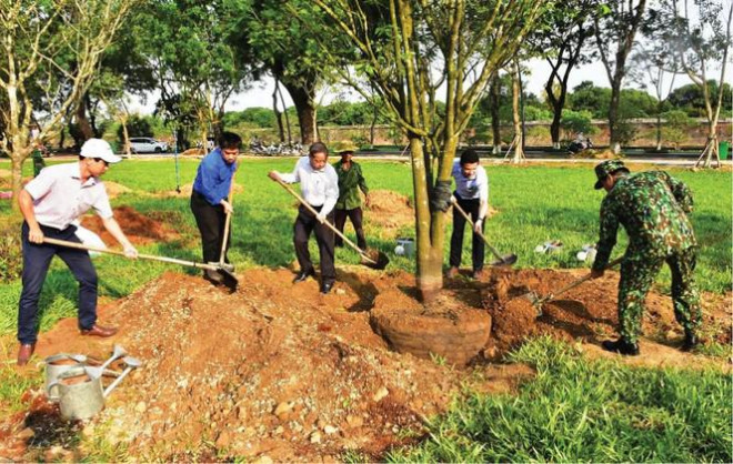 Sững sờ trước ‘góc trời Hoàng mai’ rực rỡ trong kinh thành Huế - 10